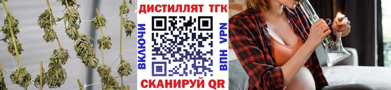 ТГК вейп  Каргополь 
