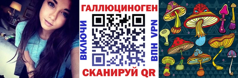KRAKEN ССЫЛКА  где купить наркотик  Каргополь  Галлюциногенные грибы ЛСД 
